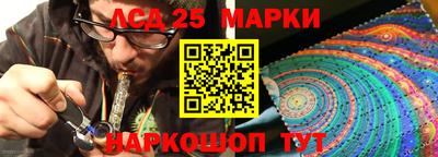 гидра Шебекино